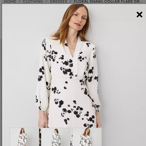 NWT Size 10 Ann Taylor midi dress